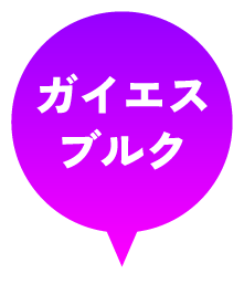 ガイエスブルク